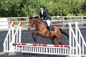 Class 3 -  Fences not above 2'3